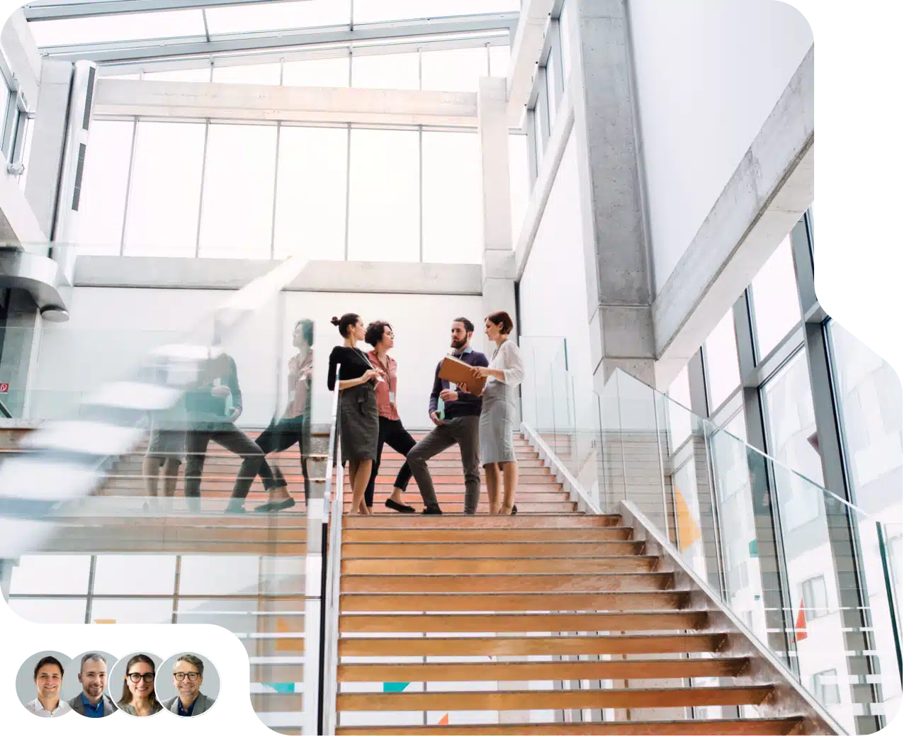 Professional team collaboration